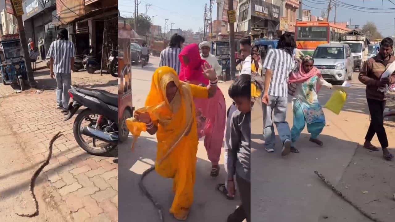 Viral Video: ਆਦਮੀ ਨੇ ਕੀਤਾ ਇੰਨਾ ਖ਼ਤਰਨਾਕ ਮਜ਼ਾਕ, ਲੋਕ ਸਮਝਣ ਲੱਗ ਪਏ ਅਸਲੀ ਸੱਪ
