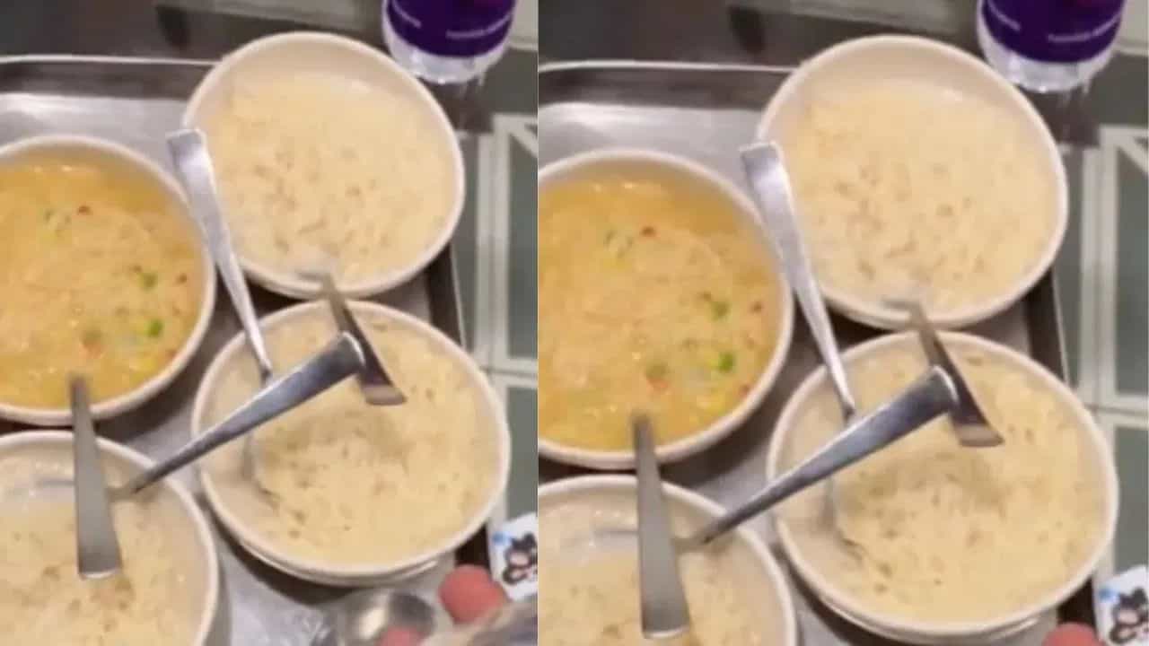 Viral: ਹੋਟਲ ਚ ਆਰਡਰ ਕੀਤੀ ਪਲੇਨ ਮੈਗੀ, ਪਰ ਜੋ ਸਾਹਮਣੇ ਆਇਆ ਦੇਖ ਕੇ ਉੱਡ ਗਏ ਹੋਸ਼; ਵੀਡੀਓ ਦੇਖ ਨਿਕਲ ਜਾਵੇਗਾ ਹਾਸਾ