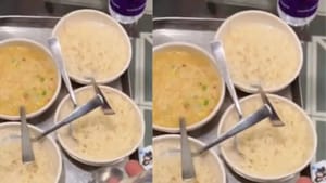 ਹੋਟਲ ਚ ਪਲੇਨ ਮੈਗੀ ਮੰਗਵਾਈ, ਪਰ ਜੋ ਆਇਆ ਦੇਖ ਹੱਸ ਹੱਸ ਉੱਡੇ ਹੋਸ਼ ਹੋਟਲ ਚ ਪਲੇਨ ਮੈਗੀ ਮੰਗਵਾਈ, ਪਰ ਜੋ ਆਇਆ ਦੇਖ ਹੱਸ ਹੱਸ ਉੱਡੇ ਹੋਸ਼