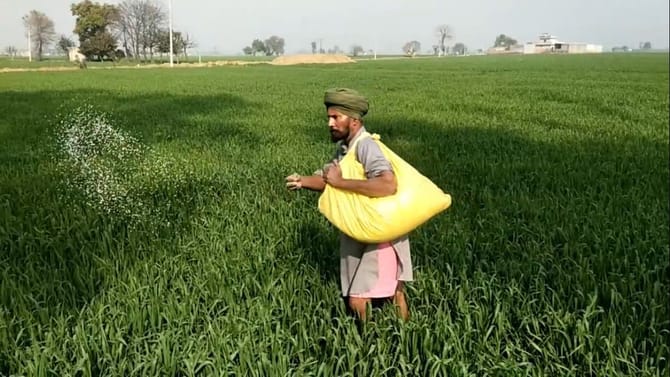 ਕੀਟਨਾਸ਼ਕ-ਯੂਰੀਆ ਫਸਲਾਂ ਤੇ ਨਸਲਾਂ ਨੂੰ ਕਰ ਰਿਹਾ ਤਬਾਹ, ਕਿਸਾਨ ਵੀ ਮਜ਼ਬੂਰ...