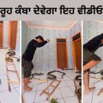 Shocking Video: ਸ਼ਖਸ ਨੇ ਅਸਲੀ ਸੱਪਾਂ ਨਾਲ ਖੇਡੀ ‘ਸੱਪ-ਸੀੜ੍ਹੀ’ ਲੋਕ ਬੋਲੇ -ਇਹ ਕਿਹੋ ਜਿਹਾ ਸ਼ੌਕ ਹੈ ਭਰਾ?”