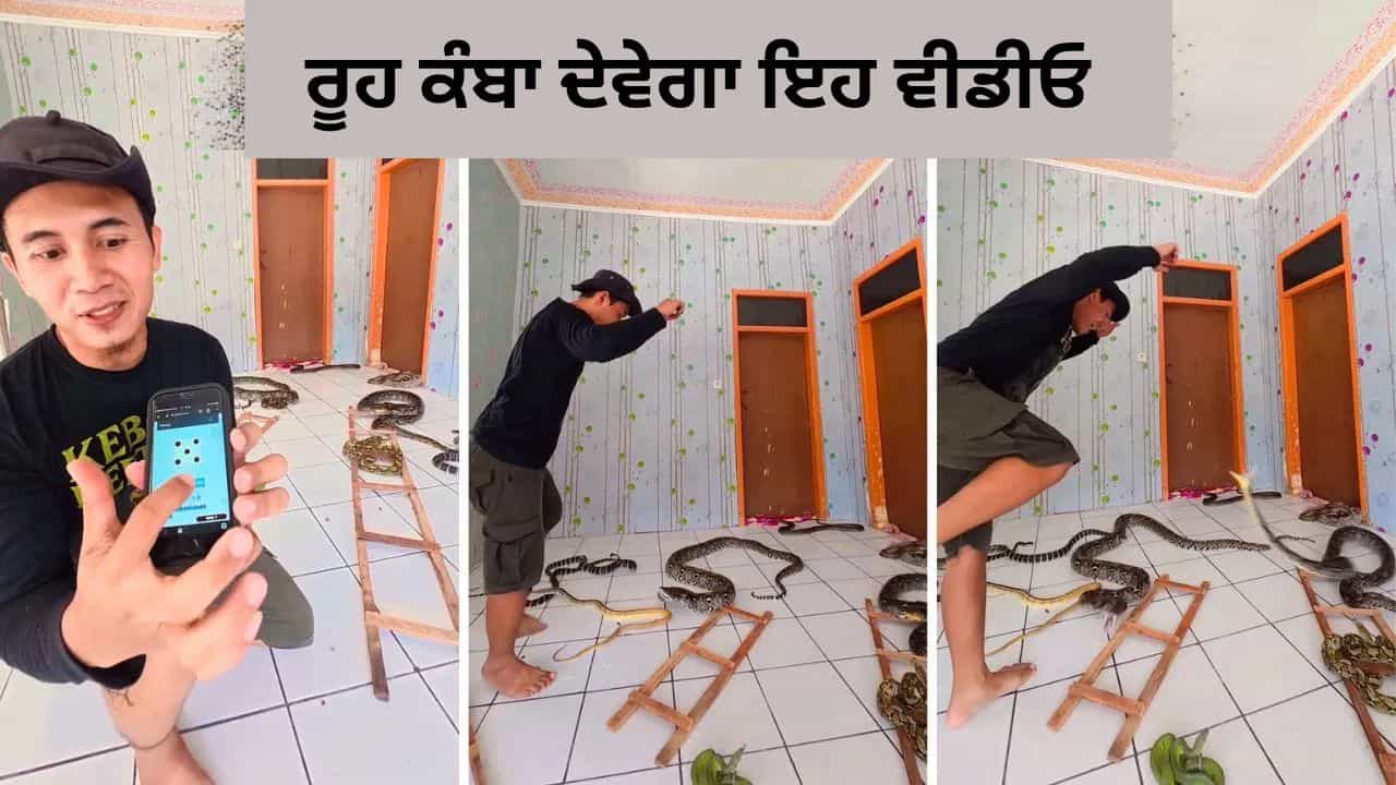 Shocking Video: ਸ਼ਖਸ ਨੇ ਅਸਲੀ ਸੱਪਾਂ ਨਾਲ ਖੇਡੀ ਸੱਪ-ਸੀੜ੍ਹੀ ਲੋਕ ਬੋਲੇ -ਇਹ ਕਿਹੋ ਜਿਹਾ ਸ਼ੌਕ ਹੈ ਭਰਾ?
