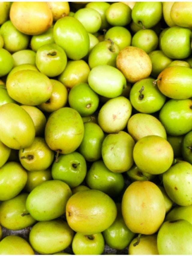 ਸ਼ਿਵਰਾਤਰੀ 'ਤੇ ਚੜ੍ਹਾਏ ਜਾਂਦੇ ਹਨ ਬੇਰ, ਜਾਣੋ ਇਸ 'ਚ ਕਿੰਨੇ ਹੁੰਦੇ ਹਨ ਪੌਸ਼ਟਿਕ ਤੱਤ