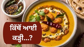 ਕੀ ਤੁਸੀਂ 'ਕੜ੍ਹੀ' ਦਾ ਦਿਲਚਸਪ ਇਤਿਹਾਸ ਜਾਣਦੇ ਹੋ? ਇੱਕ ਅਣੋਖੀ ਕਹਾਣੀ ਜੋ ਹੈ 2000 ਸਾਲ ਪੁਰਾਣੀ