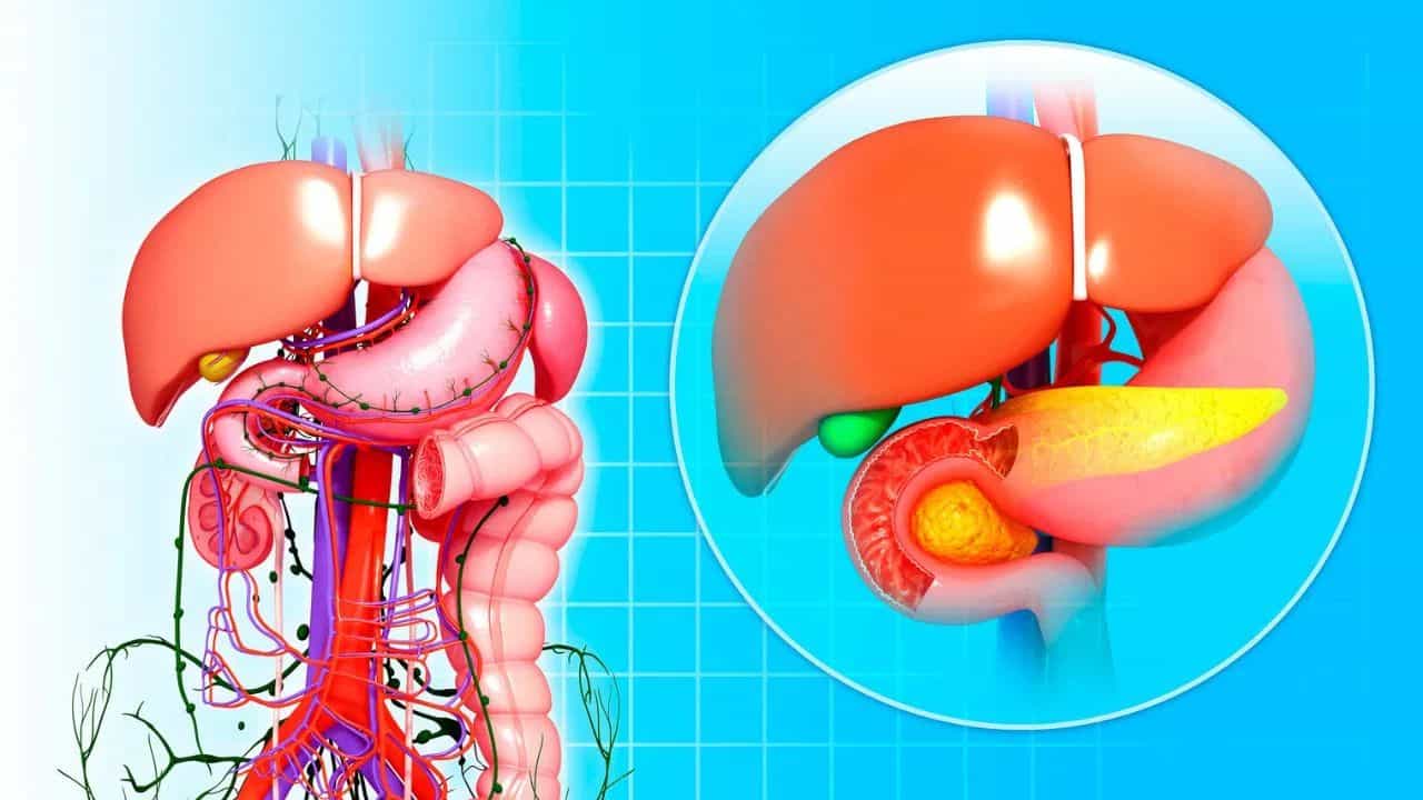 ਲਿਵਰ ਨੂੰ ਸਿਹਤਮੰਦ ਰੱਖਣ ਹੈ ਤਾਂ ਇਨ੍ਹਾਂ ਤਿੰਨ ਚੀਜ਼ਾਂ ਖਾਣ ਤੋਂ ਕਰੋ ਪਰਹੇਜ਼? ਮਾਹਿਰਾਂ ਤੋਂ ਜਾਣੋ