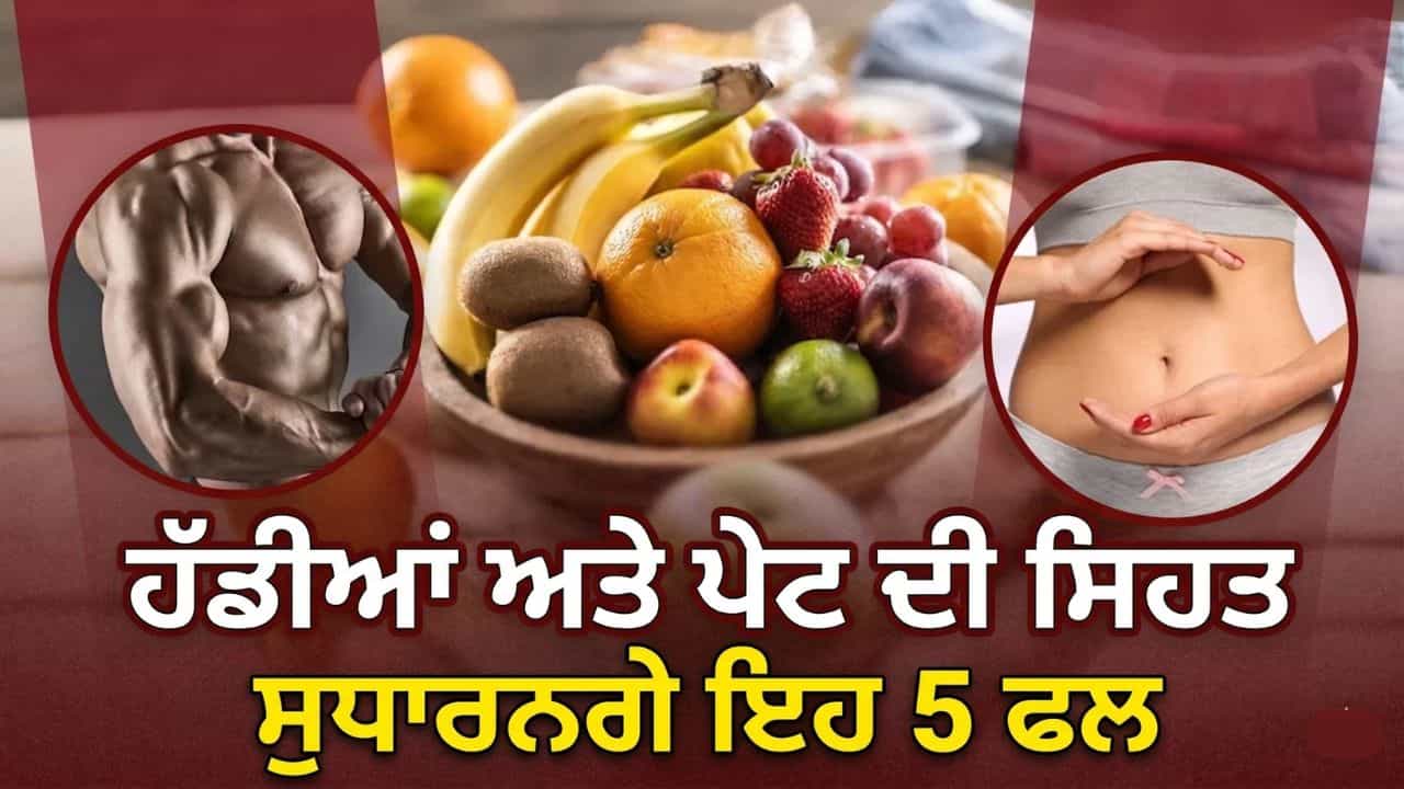 ਪਾਚਨ ਰਹੇਗਾ ਦਰੁਸਤ, ਹੱਡੀਆਂ ਬਣਨਗੀਆਂ ਫੌਲਾਦ! ਸੇਬ ਨਾਲੋਂ ਵੀ ਵੱਧ ਫਾਈਬਰ ਤੇ ਕੈਲਸ਼ੀਅਮ ਦਿੰਦੇ ਹਨ ਇਹ 5 ਫਲ