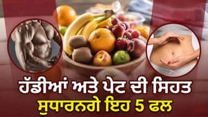 ਹੱਡੀਆਂ ਤੇ ਪਾਚਨ ਲਈ ਸੇਬ ਤੋਂ ਵੀ ਵਧੀਆ ਹਨ ਇਹ 5 ਫਲ, ਮਿਲੇਗਾ ਭਰਪੂਰ ਫਾਈਬਰ