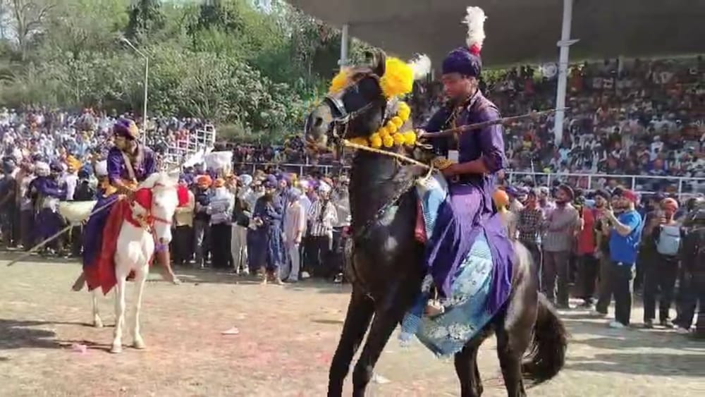ਘੋੜ ਦੌੜ ਮੁਕਾਬਲੇ ਕਰਵਾਏ ਗਏ। ਬਹੁਤ ਸਾਰੇ ਨਿਹੰਗ ਸਿੰਘ ਇੱਕ, ਦੋ, ਤਿੰਨ, ਚਾਰ, ਪੰਜ ਅਤੇ ਇੱਥੋਂ ਤੱਕ ਕਿ ਛੇ ਘੋੜਿਆਂ 'ਤੇ ਸਵਾਰ ਹੋ ਕੇ ਚਰਨ ਗੰਗਾ ਦੇ ਮੈਦਾਨ ਵਿੱਚ "ਬੋਲੇ ਸੋ ਨਿਹਾਲ" ਦੇ ਨਾਅਰੇ ਲਗਾਉਂਦੇ ਹੋਏ ਦੌੜਦੇ ਦੇਖੇ ਗਏ।