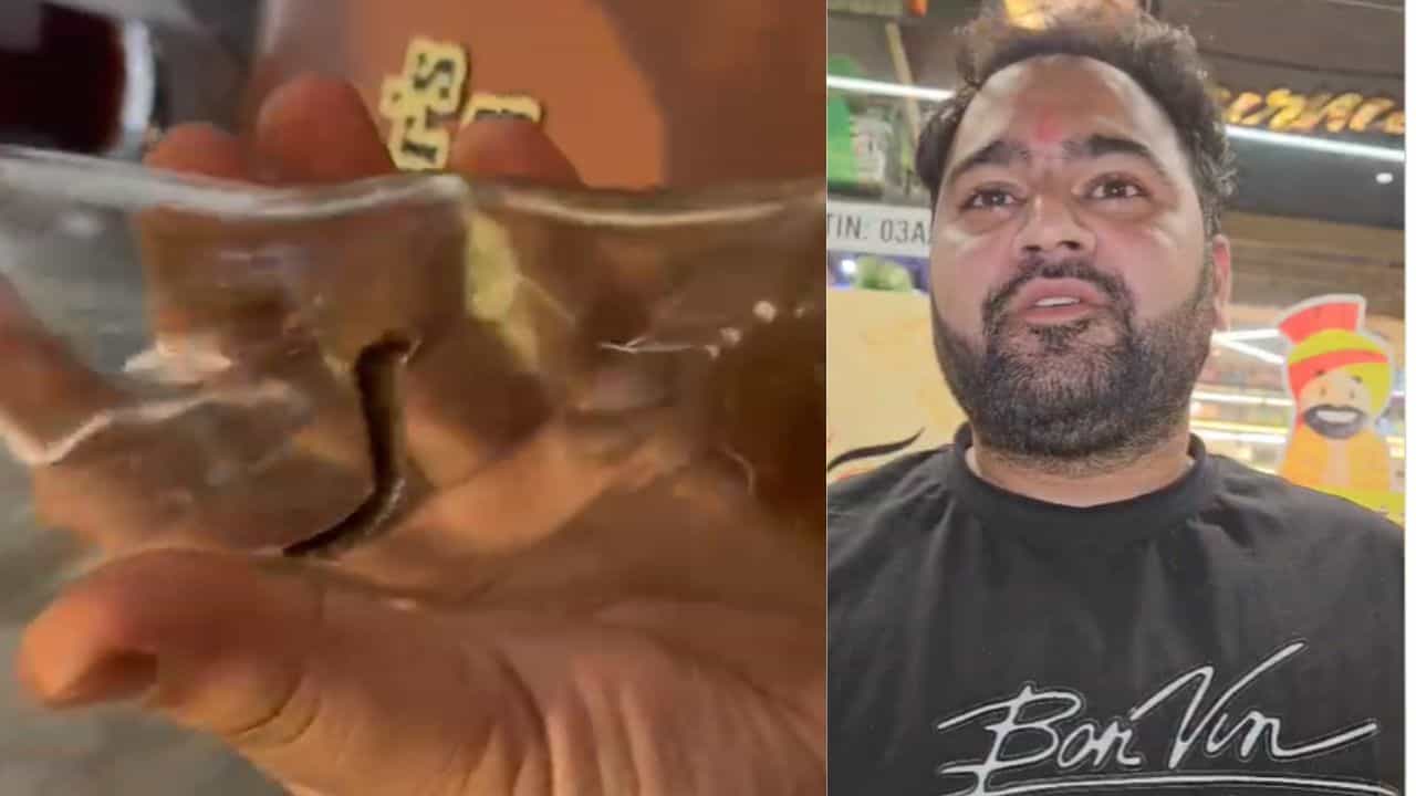 ਜਲੰਧਰ ਦੇ ਮਸ਼ਹੂਰ ਰੈਸਟੋਰੈਂਟ ਚ ਹੰਗਾਮਾ, ਪੈਪਸੀ ਦੀ ਬੋਤਲ ਚੋਂ ਨਿਕਲਿਆ ਕੀੜਾ; ਰੈਸਟੋਰੈਂਟ ਮਾਲਕ ਨੇ ਕੰਪਨੀ ਸਿਰ ਮੜ੍ਹਿਆ ਦੋਸ਼