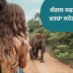 ਜੰਗਲ ਸਫਾਰੀ ਦੌਰਾਨ ਇਹ ਗ਼ਲਤੀਆਂ ਪੈ ਸਕਦੀਆਂ ਨੇ ਭਾਰੀ, ਭੁੱਲ ਕੇ ਵੀ ਨਾ ਕਰੋ ਇਹ ਕੰਮ