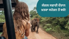 ਜੰਗਲ ਸਫਾਰੀ ਦੌਰਾਨ ਇਹ ਗ਼ਲਤੀਆਂ ਪੈਣਗੀਆਂ ਭਾਰੀ, ਭੁੱਲ ਕੇ ਵੀ ਨਾ ਕਰੋ ਇਹ ਕੰਮ