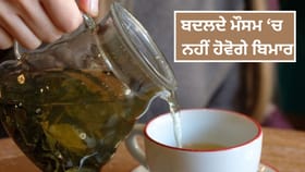 ਜ਼ੁਕਾਮ-ਗਲੇ ਦੀ ਖਰਾਸ਼, ਸਰੀਰ ਦੀਆਂ ਦਰਦ ਹੋ ਜਾਣਗੀਆਂ ਦੂਰ! ਬਦਲਦੇ ਮੌਸਮਾਂ ਦੌਰਾਨ ਸਿਹਤਮੰਦ ਰੱਖਣਗੇ ਇਹ 5 Drinks...