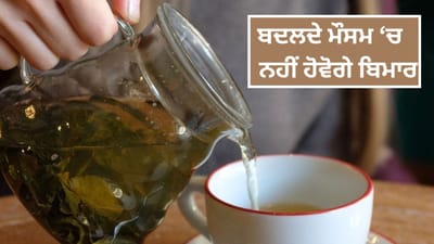 ਜ਼ੁਕਾਮ-ਗਲੇ ਦੀ ਖਰਾਸ਼, ਸਰੀਰ ਦੀਆਂ ਦਰਦ ਹੋ ਜਾਣਗੀਆਂ ਦੂਰ! ਬਦਲਦੇ ਮੌਸਮਾਂ ਦੌਰਾਨ ਸਿਹਤਮੰਦ ਰੱਖਣਗੇ ਇਹ 5 Drinks