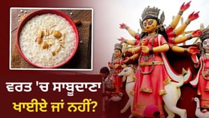 ਕੀ ਤੁਸੀਂ ਨਵਰਾਤਰੀ ਵਰਤ ਦੌਰਾਨ ਖਾਂਦੇ ਹੋ ਸਾਬੂਦਾਣਾ? ਜਾਣੋ ਸ਼ੁੱਧ ਹੈ ਜਾਂ ਅਸ਼ੁੱਧ