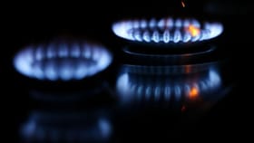 ਜੇਕਰ PNG ਕੁਨੈਕਸ਼ਨ ਲੈਣ ਤੋਂ ਕੀਤਾ ਇਨਕਾਰ, ਤਾਂ ਕੱਟ ਦਿੱਤੀ ਜਾਵੇਗੀ LPG ਸਪਲਾਈ; ਸਰਕਾਰ ਦਾ ਆਦੇਸ਼...