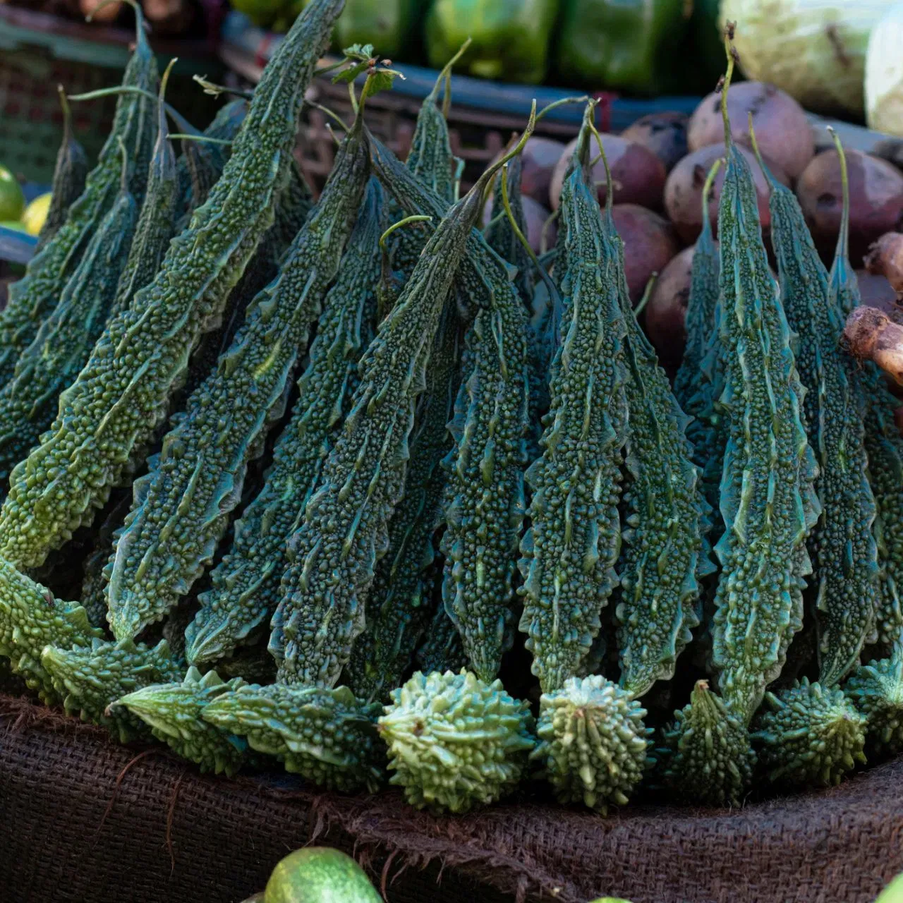 ਕੌੜਾ ਕਰੇਲਾ ਔਸ਼ਧੀ ਗੁਣਾਂ ਨਾਲ ਭਰਪੂਰ ਹੁੰਦਾ ਹੈ। ਇਸਨੂੰ ਸ਼ੂਗਰ ਰੋਗੀਆਂ ਲਈ ਬਹੁਤ ਫਾਇਦੇਮੰਦ ਮੰਨਿਆ ਜਾਂਦਾ ਹੈ ਅਤੇ ਇਹ ਲੀਵਰ ਨੂੰ ਸਾਫ਼ ਕਰਨ ਵਿੱਚ ਵੀ ਮਦਦ ਕਰਦਾ ਹੈ। ਇਹ ਸਬਜ਼ੀ ਸਕਿਨ ਦੀਆਂ ਸਮੱਸਿਆਵਾਂ ਜਿਵੇਂ ਕਿ ਪਿੰਪਲਸ ਅਤੇ ਡਲਨੈੱਸ ਤੋਂ ਵੀ ਰਾਹਤ ਦਿਵਾ ਸਕਦੀ ਹੈ, ਕਿਉਂਕਿ ਇਸਨੂੰ ਨੈਚੁਰਲ ਬੱਲਡ ਪਿਊਰੀਫਾਇਰ ਮੰਨਿਆ ਜਾਂਦਾ ਹੈ। ਕਰੇਲਾ ਗਰਮੀਆਂ ਦੌਰਾਨ ਤੁਹਾਡੇ ਸਰੀਰ ਨੂੰ ਠੰਡਾ ਰੱਖਣ ਵਿੱਚ ਵੀ ਮਦਦ ਕਰਦਾ ਹੈ। (ਚਿੱਤਰ: ਗੈਟੀ ਚਿੱਤਰ)