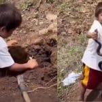Viral Video: ਬਿਨਾਂ ਕਿਸੇ ਡਰ ਤੋਂ ਬੱਚੇ ਨੇ ਫੜਿਆ ਸੱਪ, ਵੀਡੀਓ ਦੇਖ ਹੈਰਾਨ ਰਹਿ ਗਏ ਲੋਕ