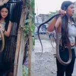 Viral Video: ਇਸ ਨੂੰ ਕਹਿੰਦੇ ਨੇ ਅਸਲੀ ਹਿੰਮਤ! ਖਿਡੌਣੇ ਵਾਂਗ ਸੱਪ ਨਾਲ ਖੇਡਦੀ ਨਜ਼ਰ ਆਈ ਕੁੜੀ, ਵੀਡੀਓ ਦੇਖ ਲੋਕ ਹੋਏ ਹੈਰਾਨ