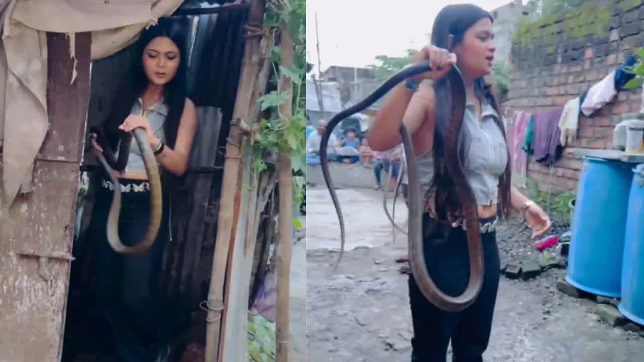 Viral Video: ਇਸ ਨੂੰ ਕਹਿੰਦੇ ਨੇ ਅਸਲੀ ਹਿੰਮਤ! ਖਿਡੌਣੇ ਵਾਂਗ ਸੱਪ ਨਾਲ ਖੇਡਦੀ ਨਜ਼ਰ ਆਈ ਕੁੜੀ, ਵੀਡੀਓ ਦੇਖ ਲੋਕ ਹੋਏ ਹੈਰਾਨ Viral Video: ਇਸ ਨੂੰ ਕਹਿੰਦੇ ਨੇ ਅਸਲੀ ਹਿੰਮਤ! ਖਿਡੌਣੇ ਵਾਂਗ ਸੱਪ ਨਾਲ ਖੇਡਦੀ ਨਜ਼ਰ ਆਈ ਕੁੜੀ, ਵੀਡੀਓ ਦੇਖ ਲੋਕ ਹੋਏ ਹੈਰਾਨ