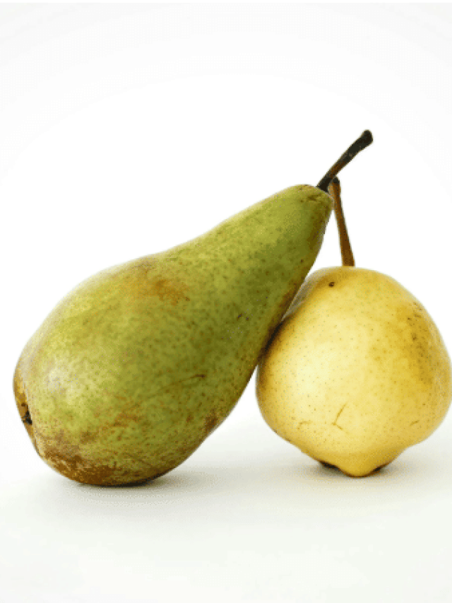 ਨਾਸ਼ਪਾਤੀ ਅਤੇ ਬੱਬੂਗੋਸ਼ਾ ਚ ਫ਼ਰਕ ਕਿਵੇਂ ਪਛਾਣੀਏ ?