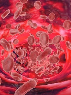 ਕਿਹੜੇ ਭੋਜਨ ਸਰੀਰ ‘ਚ ਖੂਨ ਵਧਾਉਣ ਵਿੱਚ ਮਦਦ ਕਰਦੇ ਹਨ?...