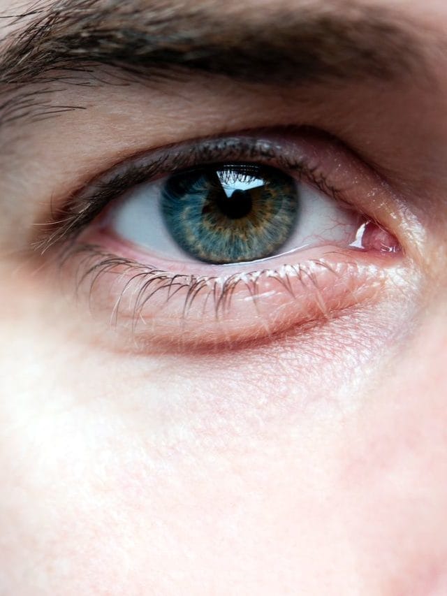 ਅੱਖਾਂ ਦੀ ਚੰਗੀ ਸਿਹਤ ਲਈ ਕੀ ਖਾਣਾ ਚਾਹੀਦਾ ਹੈ?