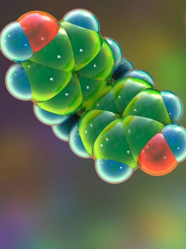 ਕਿਹੜੇ ਭੋਜਨ ਹਾਰਮੋਨਲ ਸਿਹਤ ਨੂੰ ਪ੍ਰਭਾਵਿਤ ਕਰਦੇ ਹਨ?