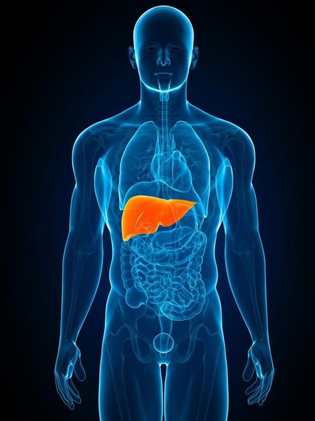 ਫੈਟੀ ਲੀਵਰ ਦੇ ਮਰੀਜ਼ਾਂ ਨੂੰ ਕਿਹੜੇ ਭੋਜਨ ਨਹੀਂ ਖਾਣੇ ਚਾਹੀਦੇ?