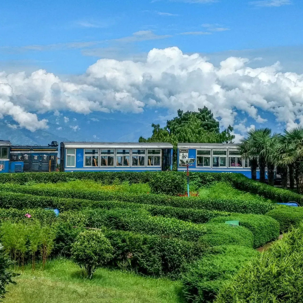 ਦਾਰਜੀਲਿੰਗ, ਪੱਛਮੀ ਬੰਗਾਲ - ਇਹ ਭਾਰਤ ਵਿੱਚ ਇੱਕ ਟ੍ਰੇਡਿਸ਼ਨਲ ਹਿਲ ਰਿਜ਼ੋਰਟ ਹੈ ਅਤੇ ਗਰਮੀਆਂ ਦੀਆਂ ਛੁੱਟੀਆਂ ਦੌਰਾਨ ਫੈਮਿਲੀ ਟ੍ਰਿਪ ਲਈ ਬੈਸਟ ਲੋਕੇਸ਼ਨ ਹੈ। ਇਹ ਨਾ ਸਿਰਫ਼ ਆਪਣੇ ਚਾਹ ਦੇ ਬਾਗਾਨਾਂ ਲਈ ਮਸ਼ਹੂਰ ਹੈ, ਸਗੋਂ ਟਾਈਗਰ ਹਿੱਲ ਵਰਗੇ ਕਈ ਪ੍ਰਸਿੱਧ ਟੂਰਿਸਟ ਸਪੌਟਸ ਵੀ ਹਨ। ਟੌਏ ਟਰੇਨ ਤੋਂ ਕੁਦਰਤ ਦੇ ਨਜਾਰੇ ਦੇਖਣਾ ਸੁਪਨੇ ਵਰਗਾ ਲੱਗਦਾ ਹੈ। ਤੁਸੀਂ ਟਾਈਗਰ ਹਿੱਲ ਤੋਂ ਕੰਚਨਜੰਗਾ ਦੇਖ ਸਕਦੇ ਹੋ।