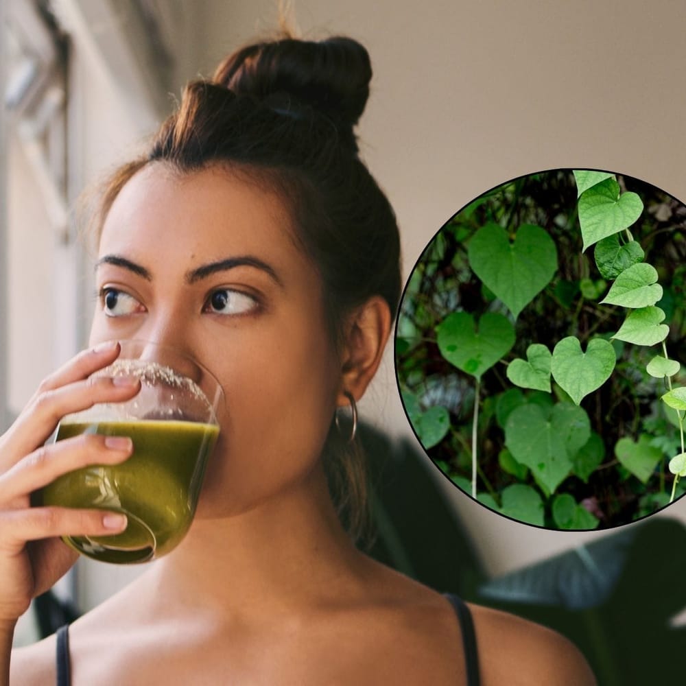 ਗਿਲੋਅ ਦਾ ਰਸ ਜਾਂ ਕਾੜ੍ਹਾ: ਤੁਲਸੀ ਵਾਂਗ, ਗਿਲੋਅ ਨੂੰ ਆਯੁਰਵੇਦ ਵਿੱਚ ਇਮਿਊਨਿਟੀ ਬੂਸਟਰ ਮੰਨਿਆ ਜਾਂਦਾ ਹੈ। ਇਹ ਬੁਖਾਰ ਤੋਂ ਵੀ ਰਾਹਤ ਦਿੰਦਾ ਹੈ ਅਤੇ ਇਨਫੈਕਸ਼ਨ ਨੂੰ ਰੋਕਣ ਵਿੱਚ ਮਦਦ ਕਰਦਾ ਹੈ। ਤੁਸੀਂ ਰੋਜ਼ਾਨਾ ਗਿਲੋਅ ਦੇ ਰਸ ਦਾ ਸੇਵਨ ਕਰ ਸਕਦੇ ਹੋ ਜਾਂ ਇਸ ਨੂੰ ਪਾਣੀ ਵਿੱਚ ਉਬਾਲ ਕੇ ਕਾੜ੍ਹਾ ਬਣਾ ਕੇ ਪੀ ਸਕਦੇ ਹੋ।