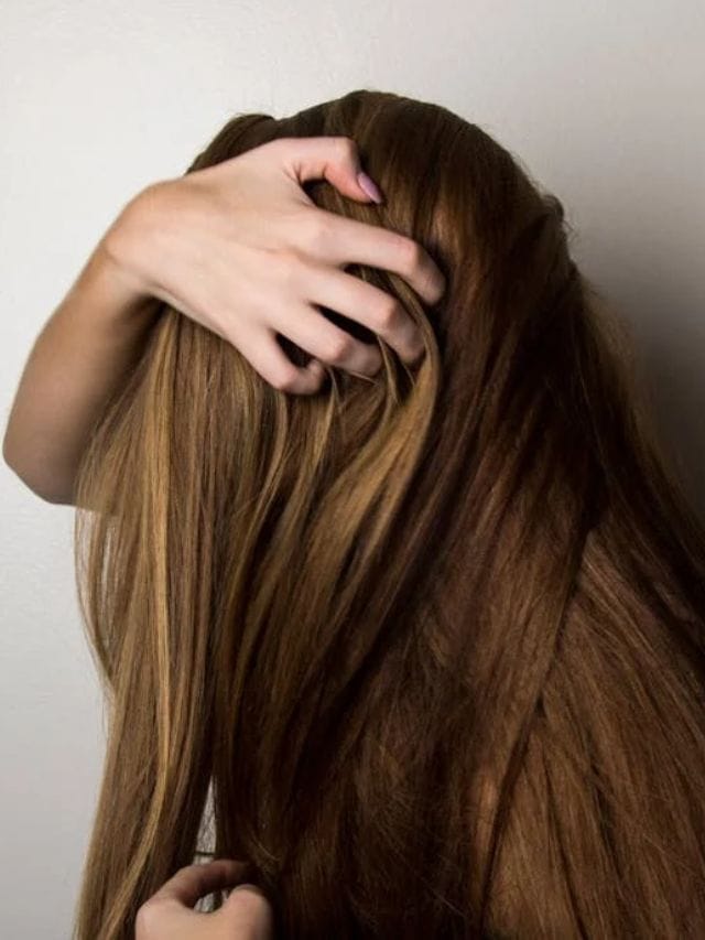 ਵਾਲਾਂ ਨੂੰ ਹੈਲਦੀ ਬਣਾਉਣ ਲਈ ਇਹ 5 ਹਰੀਆਂ ਚੀਜ਼ਾਂ ਹਨ ਬਹੁਤ ਵਧੀਆ