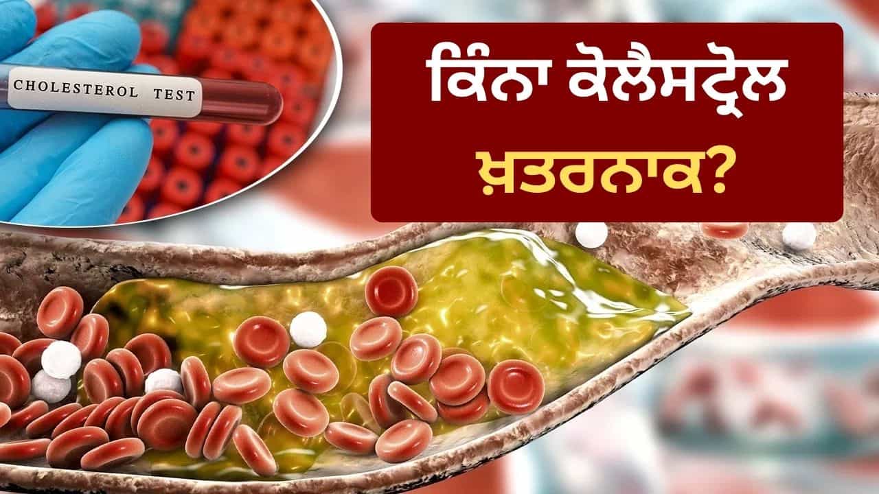 ਬੈਡ ਕੋਲੈਸਟ੍ਰੋਲ ਨੂੰ ਹਲਕੇ ਚ ਲੈਣਾ ਪਵੇਗਾ ਭਾਰੀ! ਨਵੀਂ ਗਾਈਡਲਾਈਨ ਚ ਤੈਅ ਹੋਇਆ ਸੁਰੱਖਿਅਤ ਲੈਵਲ