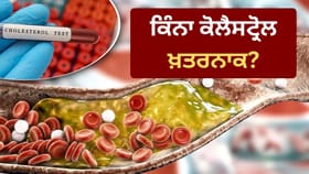 ਬੈਡ ਕੋਲੈਸਟ੍ਰੋਲ ਨੂੰ ਹਲਕੇ ‘ਚ ਲੈਣਾ ਪਵੇਗਾ ਭਾਰੀ! ਨਵੀਂ ਗਾਈਡਲਾਈਨ ‘ਚ ਤੈਅ ਹੋਇਆ ਸੁਰੱਖਿਅਤ ਲੈਵਲ...