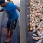 Viral Video: ਮਾਸ ਖਾਣ ਵਾਲੀ ਮੱਛੀ ਫੜਨ ਦਾ ਅਨੋਖਾ ਤਰੀਕਾ ਵਾਇਰਲ, ਮਛੇਰੇ ਨੇ ਅਪਣਾਈ ਗਜਬ ਦੀ ਟ੍ਰਿਕ