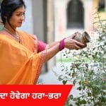 Plant Care Tips: ਤੁਲਸੀ ਦਾ ਪੌਦਾ ਸੁੱਕਣ ਦੇ ਇਹ ਹਨ 5 ਮੁੱਖ ਕਾਰਨ, ਜਾਣੋ ਕਿਵੇਂ ਇਸ ਨੂੰ ਮੁੜ ਤੋਂ ਹਰਾ-ਭਰਾ ਬਣਾਇਆ ਜਾਵੇ