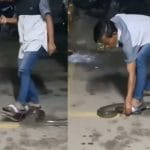 Viral Video : ਆਦਮੀ ਨੇ ਅਜਗਰ ਨੂੰ ਪੈਰਾਂ ਹੇਠਾਂ ਦਿੱਤਾ ਕੁਚਲ, ਵੀਡੀਓ ਦੇਖ ਹੋ ਜਾਓਗੇ ਹੈਰਾਨ