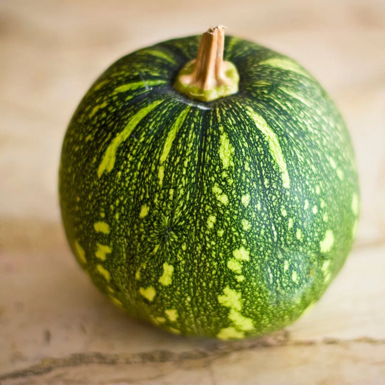 ਪੰਪਕਿਨ ਯਾਨੀ ਕੱਦੂ ਨੂੰ ਵੀ ਠੰਡੀ ਤਾਸੀਰ ਵਾਲਾ ਮੰਨਿਆ ਗਿਆ ਹੈ। ਇਹ ਤੁਹਾਡੇ ਪੇਟ ਨੂੰ ਠੰਡਾ ਰੱਖਦਾ ਹੈ ਅਤੇ ਤੁਹਾਨੂੰ ਹਾਈਡਰੇਟ ਰੱਖਦਾ ਹੈ। ਇਸ ਵਿੱਚ ਬਹੁਤ ਸਾਰੇ ਪੌਸ਼ਟਿਕ ਤੱਤ ਹੁੰਦੇ ਹਨ, ਜਿਵੇਂ ਕਿ ਬੀਟਾ ਕੈਰੋਟੀਨ ਅਤੇ ਵਿਟਾਮਿਨ ਏ, ਜੋ ਅੱਖਾਂ ਲਈ ਫਾਇਦੇਮੰਦ ਹੁੰਦੇ ਹਨ। ਇਹ ਇਮਿਊਨਿਟੀ ਨੂੰ ਵੀ ਵਧਾਉਂਦਾ ਹੈ। ਤੁਸੀਂ ਕੱਦੂ ਨੂੰ ਮਿੱਠੇ ਅਤੇ ਖੱਟੇ ਦੋਵਾਂ ਰੂਪਾਂ ਵਿੱਚ ਤਿਆਰ ਕਰ ਸਕਦੇ ਹੋ। (Image: Getty Images)