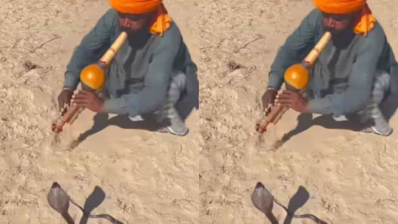 Viral Video: ਖੇਡ ਦਿਖਾ ਰਿਹਾ ਸੀ ਸਪੇਰਾ, ਅਚਾਨਕ ਸੱਪ ਨੂੰ ਆਇਆ ਗੁੱਸਾ, ਫਿਰ ਦਿਖਿਆ ਹੈਰਾਨ ਕਰਨ ਵਾਲਾ ਦ੍ਰਿਸ਼