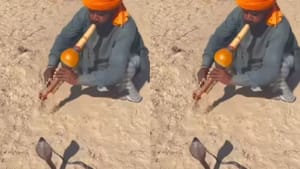 ਖੇਡ ਦਿਖਾ ਰਿਹਾ ਸੀ ਸਪੇਰਾ, ਅਚਾਨਕ ਸੱਪ ਨੇ ਕੀਤਾ ਹਮਲਾ, ਵਾਇਰਲ ਹੋਇਆ VIDEO