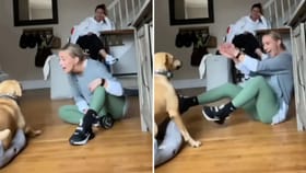 ਕੁੜੀ ਨੇ ਕੁੱਤੇ ਨੂੰ ਕਿਹਾ I Love You! ਡੌਗੀ ਨੇ ਜੋ ਜਵਾਬ ਦਿੱਤਾ, ਉੱਡ ਗਏ ਹੋਸ਼