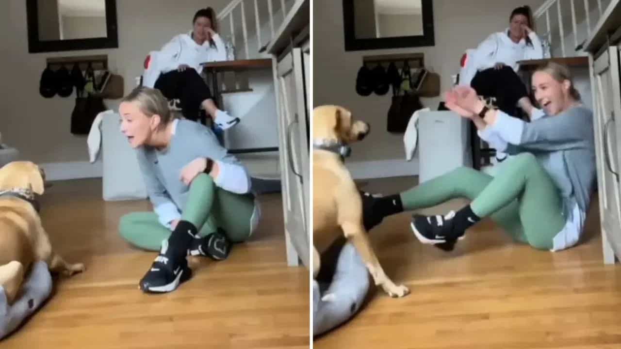 Viral Video: ਕੁੜੀ ਨੇ ਕੁੱਤੇ ਨੂੰ ਕਿਹਾ I Love You! ਅੱਗੋਂ ਡੌਗੀ ਨੇ ਜੋ ਜਵਾਬ ਦਿੱਤਾ, ਸੁਣ ਕੇ ਤੁਹਾਡੇ ਉੱਡ ਜਾਣਗੇ ਹੋਸ਼