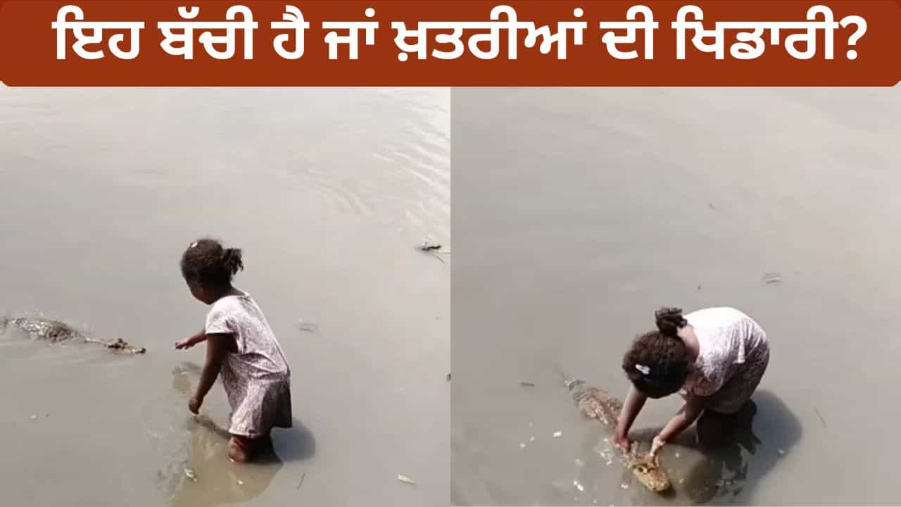 Viral Video : ਇਸ ਕੁੜੀ ਦੀ ਹਿੰਮਤ ਨੂੰ ਸਲਾਮ! ਦੇਖੋ ਕਿਵੇਂ ਮਗਰਮੱਛ ਨੂੰ ਕਰ ਰਹੀ ਪਿਆਰ, ਹੈਰਾਨ ਹੋਏ ਲੋਕ Viral Video : ਇਸ ਕੁੜੀ ਦੀ ਹਿੰਮਤ ਨੂੰ ਸਲਾਮ! ਦੇਖੋ ਕਿਵੇਂ ਮਗਰਮੱਛ ਨੂੰ ਕਰ ਰਹੀ ਪਿਆਰ, ਹੈਰਾਨ ਹੋਏ ਲੋਕ