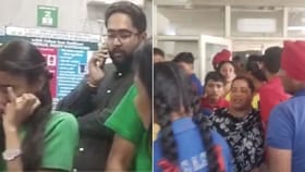 ਮੋਹਾਲੀ ਸਕੂਲ ਵਿੱਚ ਮਧੂ-ਮੱਖੀਆਂ ਦਾ ਹਮਲਾ, ਗ੍ਰਾਉਂਡ 'ਚ ਖੇਡ ਰਹੇ 40 ਬੱਚਿਆਂ ਨੂੰ