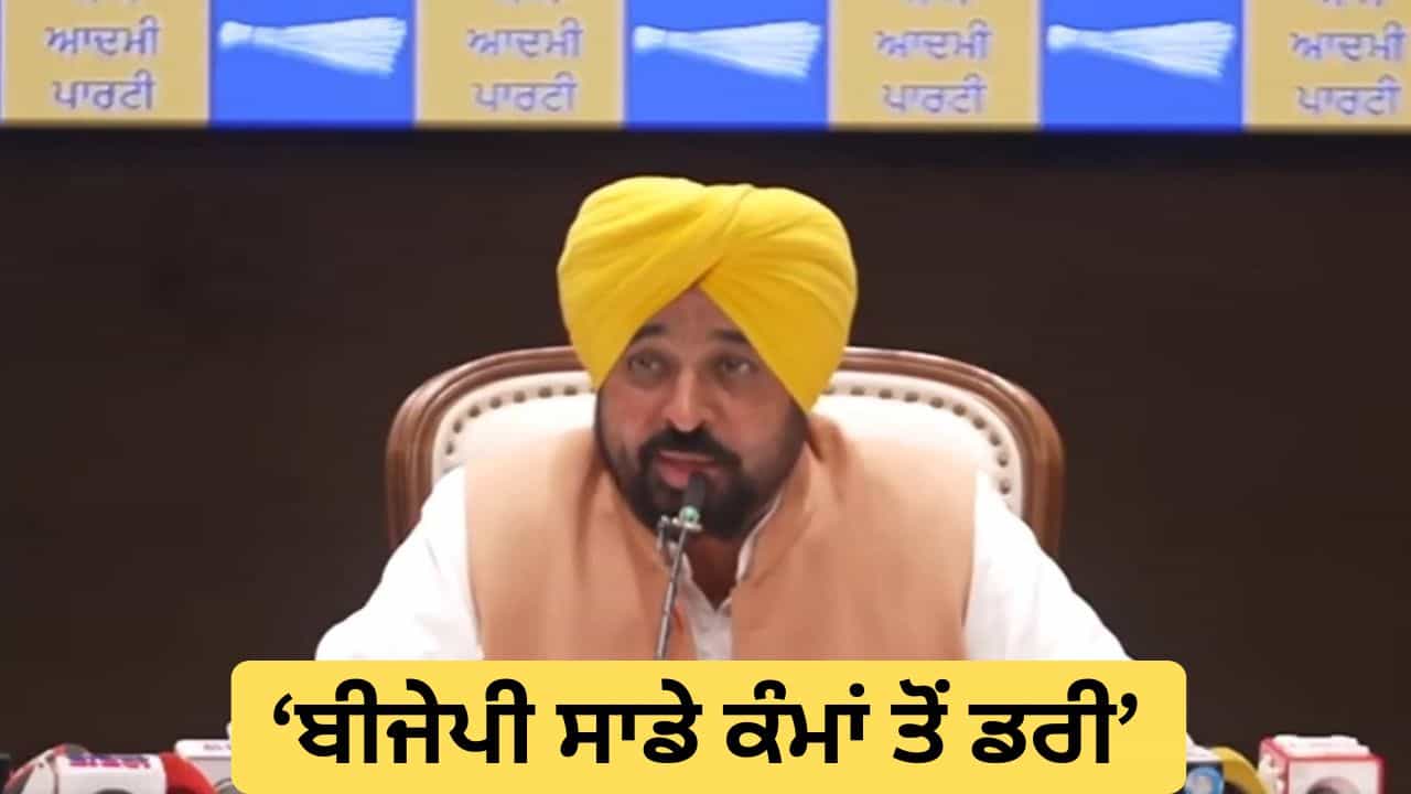 ਸੱਤਾਂ ਸਾਂਸਦਾਂ ਨੇ ਪੰਜਾਬੀਆਂ ਨਾਲ ਧੋਖਾ ਕੀਤਾ, ਬੀਜੇਪੀ ਸਾਡੇ ਕੰਮਾਂ ਤੋਂ ਡਰੀ : ਸੀਐਮ ਭਗਵੰਤ ਮਾਨ