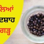 1 ਹਜ਼ਾਰ ਰੁਪਏ ਕਿਲੋ ਮਿਲਣ ਵਾਲੀ ਕਾਲੀ ਮਿਰਚ ਉਗਾਉਣ ‘ਚ ਇਹ ਦੇਸ਼ ਸਭ ਤੋਂ ਮੋਹਰੀ ਬਣ ਕੇ ਉੱਭਰਿਆ?