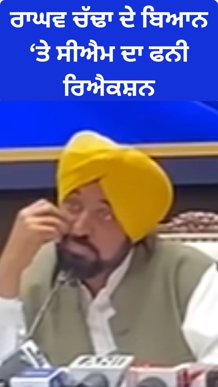 ਰਾਘਵ ਚੱਢਾ 'ਤੇ ਸੀਐਮ ਮਾਨ ਨੇ ਦਿੱਤਾ ਅਜਿਹਾ ਜਵਾਬ, ਪੈ ਗਿਆ ਹਾਸਾ