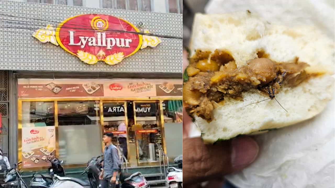 ਲੁਧਿਆਣਾ ਦੀ ਨਾਮੀ ਸਵੀਟ ਸ਼ਾਪ ਤੇ ਹੰਗਾਮਾ, ਕੁਲਚੇ ਵਿੱਚੋਂ ਨਿਕਲਿਆ ਕੋਕਰੋਚ; ਗਾਹਕ ਨੇ ਵੀਡੀਓ ਬਣਾ ਖੋਲ੍ਹੀ ਪੋਲ੍ਹ