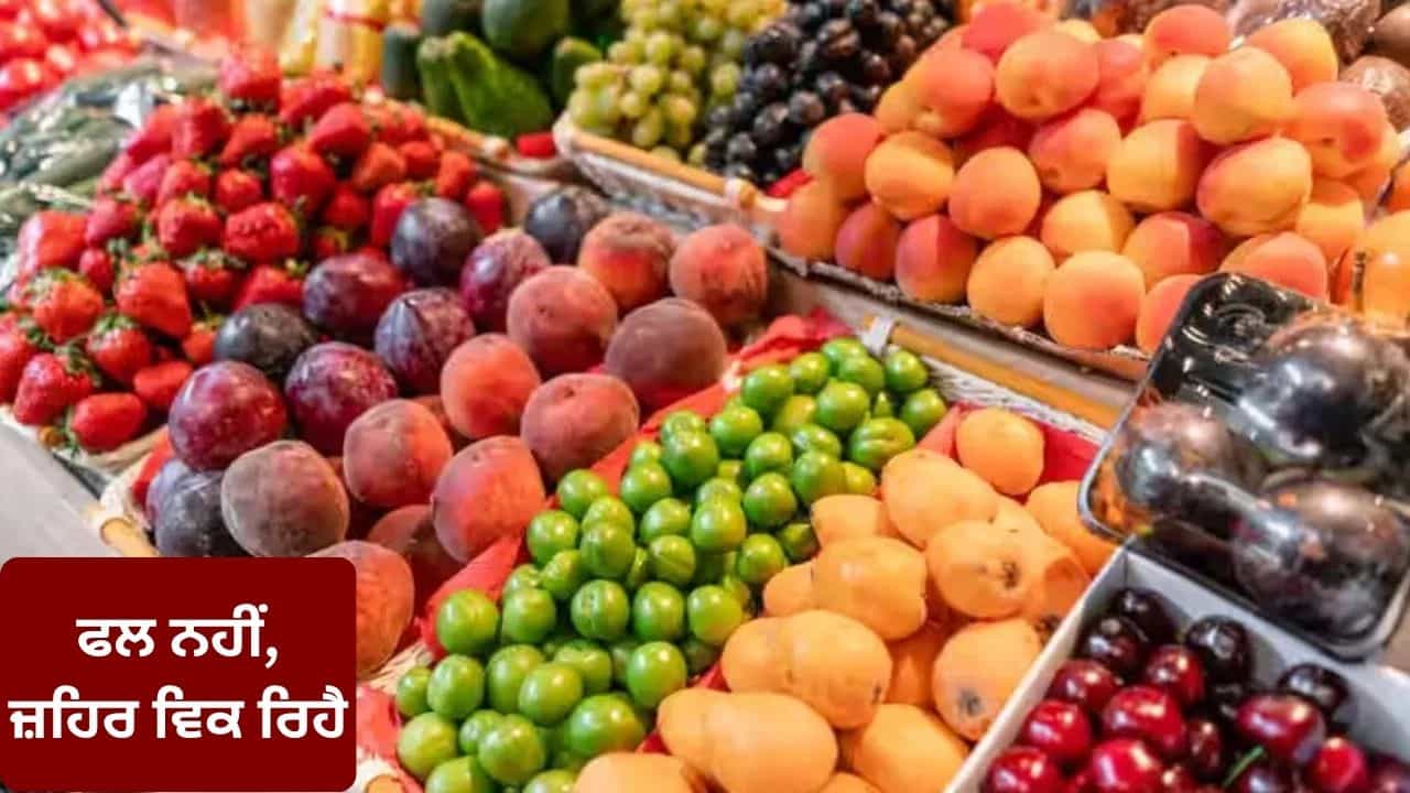 ਫਲ ਨਹੀਂ, ਜ਼ਹਿਰ ਵਿਕ ਰਿਹਾ ਹੈ, ਕੈਮੀਕਲ ਨਾਲ ਪਕਾਏ ਫਲਾਂ ਤੇ FSSAI ਦੀ ਸਖ਼ਤੀ; ਜਾਰੀ ਕੀਤਾ ਅਲਰਟ