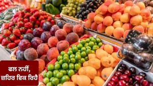 ਫਲ ਨਹੀਂ, ਜ਼ਹਿਰ ਵਿਕ ਰਿਹੈ, ਕੈਮੀਕਲ ਨਾਲ ਪਕਾਏ ਫਲਾਂ 'ਤੇ FSSAI ਦੀ ਸਖ਼ਤੀ