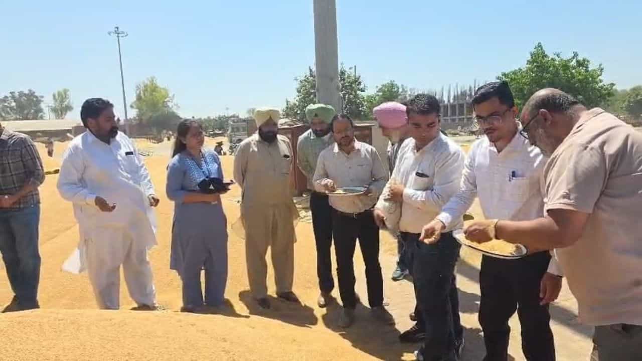 ਬੇਮੌਸਮੀ ਬਾਰਿਸ਼ ਨਾਲ ਫਸਲ ਦੀ ਜਾਂਚ ਲਈ ਕੇਂਦਰੀ ਟੀਮ ਪੁੱਜੀ ਫਰੀਦਕੋਟ, ਮੰਡੀਆਂ ਤੋਂ ਭਰੇ ਸੈਂਪਲ ਬੇਮੌਸਮੀ ਬਾਰਿਸ਼ ਨਾਲ ਫਸਲ ਦੀ ਜਾਂਚ ਲਈ ਕੇਂਦਰੀ ਟੀਮ ਪੁੱਜੀ ਫਰੀਦਕੋਟ, ਮੰਡੀਆਂ ਤੋਂ ਭਰੇ ਸੈਂਪਲ